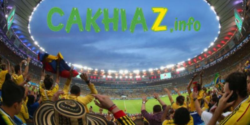 Các giải đấu bóng đá Các giải đấu bóng đá